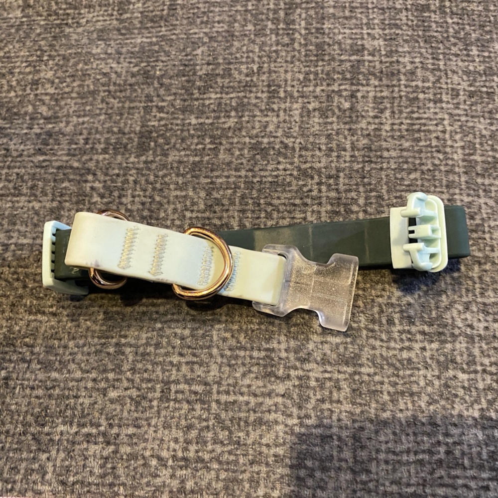 Target Mint Green Dog Collar, medium